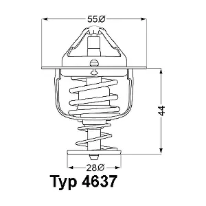 BorgWarner (Wahler) 4637.82D