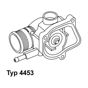 BorgWarner (Wahler) 445387D