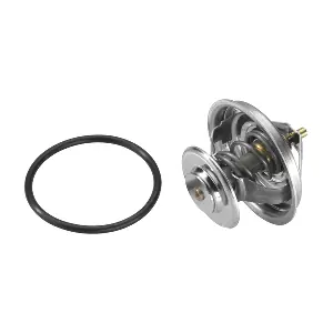 4105.65D BorgWarner (Wahler)