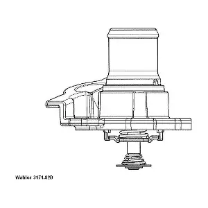 3171.82D BorgWarner (Wahler)