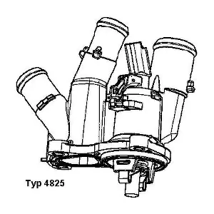 BorgWarner (Wahler) 4825.98D