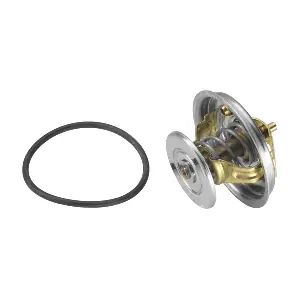 BorgWarner (Wahler) 4078.79D