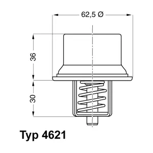 4621.80D BorgWarner (Wahler)