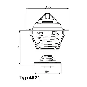 482189D BorgWarner (Wahler)