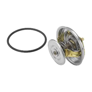 4078.65D BorgWarner (Wahler)