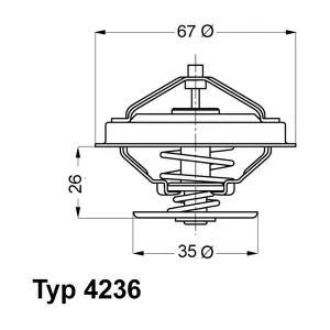 BorgWarner (Wahler) 4236.88D