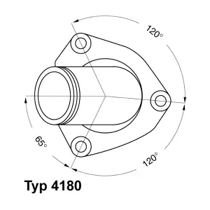 4180.82D BorgWarner (Wahler)