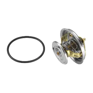 BorgWarner (Wahler) 4078.92D