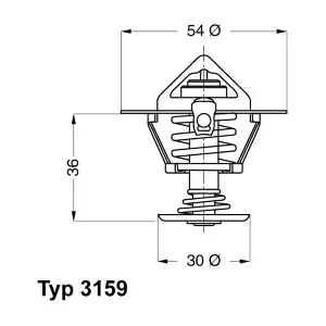 BorgWarner (Wahler) 3159.82D