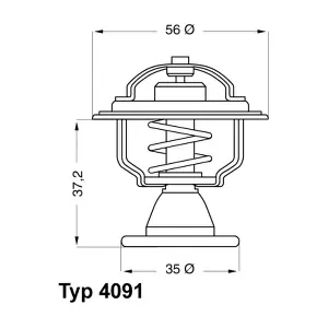 409182D BorgWarner (Wahler)