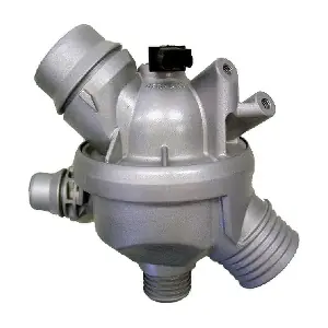 BorgWarner (Wahler) 4689.97D0