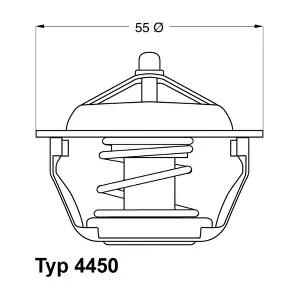 BorgWarner (Wahler) 4450.89D