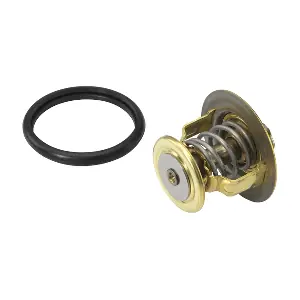BorgWarner (Wahler) 410131.88D