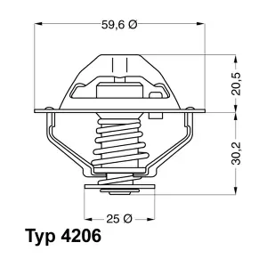 4206.90D BorgWarner (Wahler)