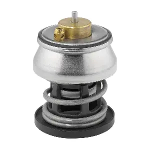 BorgWarner (Wahler) 412253.88D