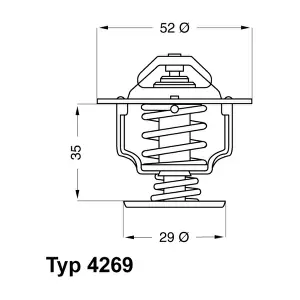 BorgWarner (Wahler) 4269.78D