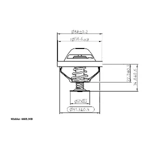 BorgWarner (Wahler) 4489.90D