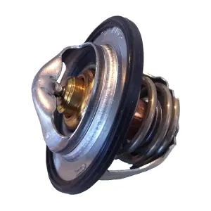BorgWarner (Wahler) 411193.82D