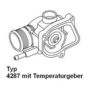 BorgWarner (Wahler) 428792D