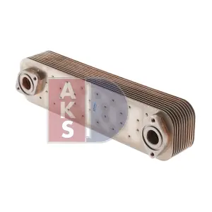 406006N AKS DASIS