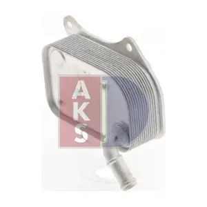 046027N AKS DASIS