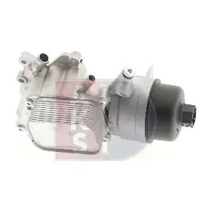 066018N AKS DASIS
