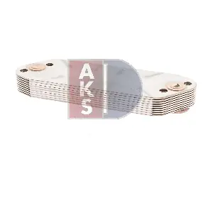 286013X AKS DASIS