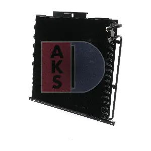 AL207876 AKS DASIS