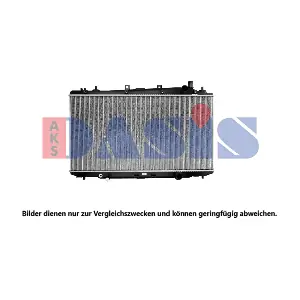 100102N AKS DASIS