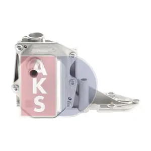 AKS DASIS 096021N