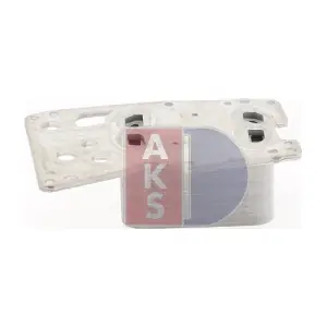 056065N AKS DASIS