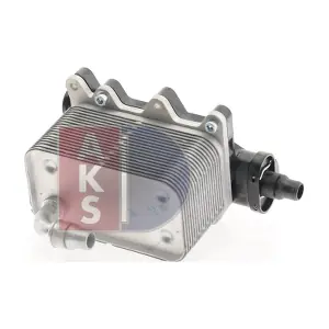 056046N AKS DASIS