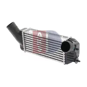 AKS DASIS 167003N