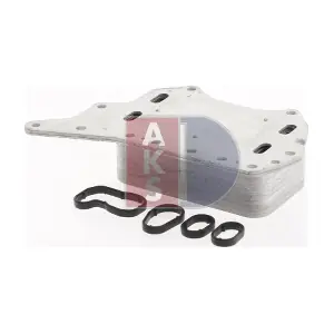 AKS DASIS 186013N