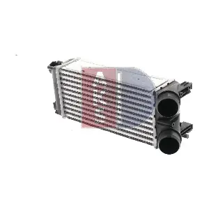 167008N AKS DASIS