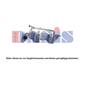 090021N AKS DASIS