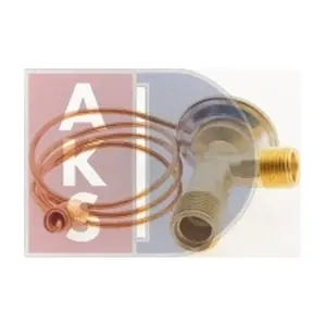 6005016254 AKS DASIS