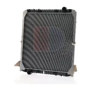 400210X AKS DASIS