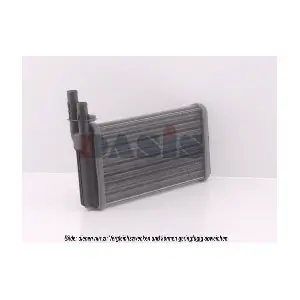 019020N AKS DASIS