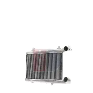 297210X AKS DASIS