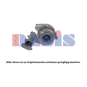 295001N AKS DASIS