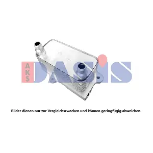 026029N AKS DASIS