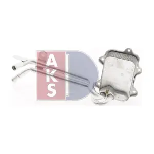 046021N AKS DASIS