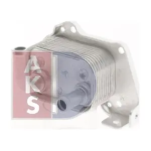 156013N AKS DASIS