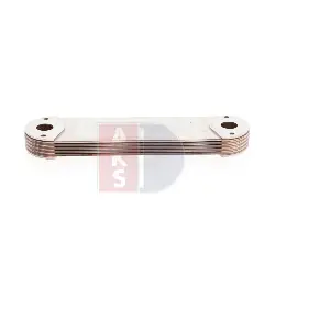 286001X AKS DASIS