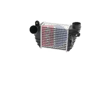 AKS DASIS 487016N