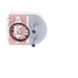 AKS DASIS 040024N