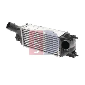 067011N AKS DASIS