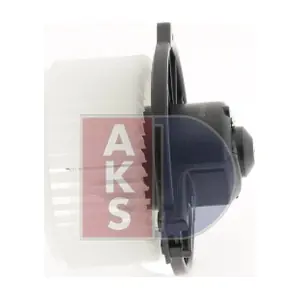 218089N AKS DASIS