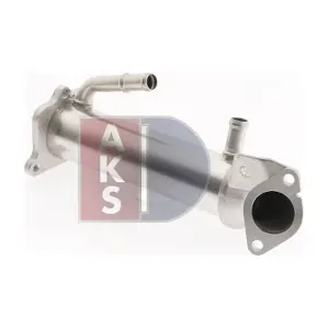 AKS DASIS 090123N